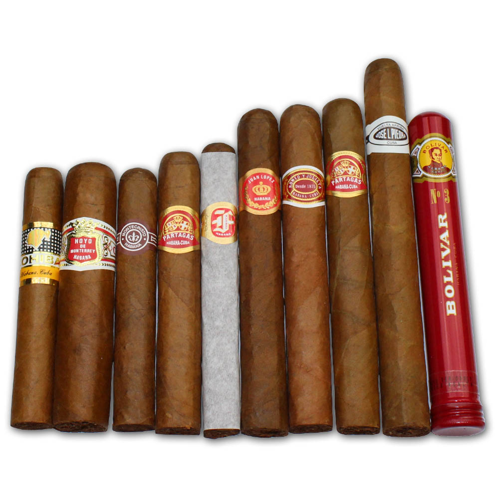 Beginner Compendium Humidor The Starter Pack Cigar Selection